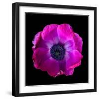 anemone-Magda Indigo-Framed Photographic Print