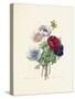 Anemone-Pierre-Joseph Redouté-Stretched Canvas