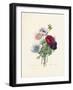 Anemone-Pierre-Joseph Redouté-Framed Giclee Print