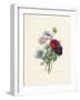 Anemone-Pierre-Joseph Redouté-Framed Giclee Print