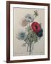 Anemone-Pierre-Joseph Redoute-Framed Art Print