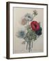 Anemone-Pierre-Joseph Redoute-Framed Art Print