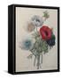 Anemone-Pierre-Joseph Redoute-Framed Stretched Canvas