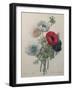 Anemone-Pierre-Joseph Redoute-Framed Art Print