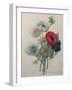 Anemone-Pierre-Joseph Redoute-Framed Art Print