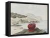 Anemone-Philip Henry Gosse-Framed Stretched Canvas