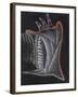 Anemone-Philip Henry Gosse-Framed Giclee Print