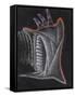 Anemone-Philip Henry Gosse-Framed Stretched Canvas
