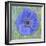 Anemone-Cora Niele-Framed Giclee Print