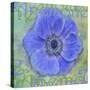Anemone-Cora Niele-Stretched Canvas