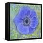Anemone-Cora Niele-Framed Stretched Canvas