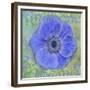 Anemone-Cora Niele-Framed Giclee Print