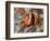 Anemonefish Among Poisonous Tentacles, Raja Ampat, Indonesia-null-Framed Photographic Print