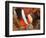 Anemonefish, Tukang Besi/Wakatobi Archipelago Marine Preserve, South Sulawesi, Indonesia-Stuart Westmorland-Framed Photographic Print