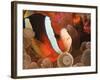 Anemonefish, Tukang Besi/Wakatobi Archipelago Marine Preserve, South Sulawesi, Indonesia-Stuart Westmorland-Framed Photographic Print