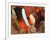 Anemonefish, Tukang Besi/Wakatobi Archipelago Marine Preserve, South Sulawesi, Indonesia-Stuart Westmorland-Framed Photographic Print