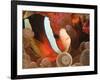 Anemonefish, Tukang Besi/Wakatobi Archipelago Marine Preserve, South Sulawesi, Indonesia-Stuart Westmorland-Framed Photographic Print