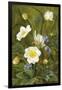 Anemones and Forget-Me-Nots-Maria Krabbe-Framed Giclee Print