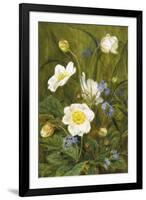 Anemones and Forget-Me-Nots-Maria Krabbe-Framed Giclee Print