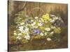 Anemones and Primroses in a Basket-Anthonore Christensen-Stretched Canvas