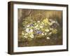 Anemones and Primroses in a Basket-Anthonore Christensen-Framed Giclee Print