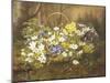 Anemones and Primroses in a Basket-Anthonore Christensen-Mounted Giclee Print
