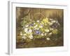 Anemones and Primroses in a Basket-Anthonore Christensen-Framed Giclee Print