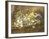 Anemones and Primroses in a Basket-Anthonore Christensen-Framed Giclee Print