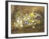 Anemones and Primroses in a Basket-Anthonore Christensen-Framed Giclee Print