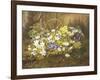 Anemones and Primroses in a Basket-Anthonore Christensen-Framed Giclee Print