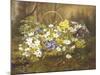 Anemones and Primroses in a Basket-Anthonore Christensen-Mounted Giclee Print