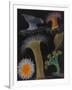 Anemones and Stalked Jellyfish-Philip Henry Gosse-Framed Giclee Print