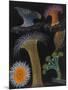 Anemones and Stalked Jellyfish-Philip Henry Gosse-Mounted Giclee Print