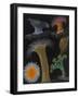 Anemones and Stalked Jellyfish-Philip Henry Gosse-Framed Giclee Print