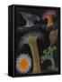 Anemones and Stalked Jellyfish-Philip Henry Gosse-Framed Stretched Canvas