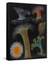Anemones and Stalked Jellyfish-Philip Henry Gosse-Framed Stretched Canvas
