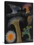 Anemones and Stalked Jellyfish-Philip Henry Gosse-Stretched Canvas