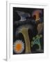 Anemones and Stalked Jellyfish-Philip Henry Gosse-Framed Giclee Print