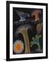 Anemones and Stalked Jellyfish-Philip Henry Gosse-Framed Giclee Print