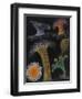 Anemones and Stalked Jellyfish-Philip Henry Gosse-Framed Giclee Print