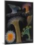 Anemones and Stalked Jellyfish-Philip Henry Gosse-Mounted Giclee Print