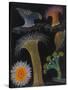 Anemones and Stalked Jellyfish-Philip Henry Gosse-Stretched Canvas