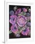 Anemones and thistles, 1998-Margo Starkey-Framed Giclee Print