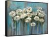 Anemones by the Lake-Silvia Vassileva-Framed Stretched Canvas