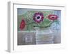 Anemones in White Jug, 2013-Ruth Addinall-Framed Giclee Print