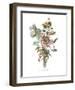 Anemones Sunples Volubulis-Jean Louis Prevost-Framed Art Print