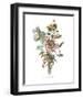 Anemones Sunples Volubulis-Jean Louis Prevost-Framed Art Print