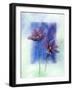 Anemones-Franz Heigl-Framed Art Print