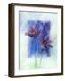 Anemones-Franz Heigl-Framed Art Print