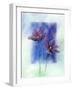 Anemones-Franz Heigl-Framed Art Print